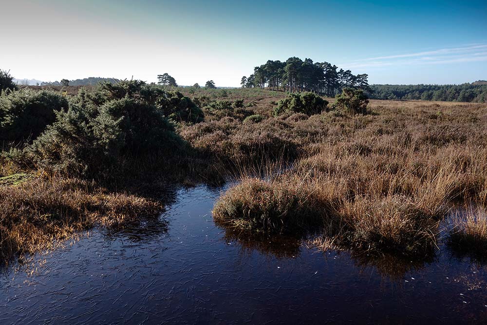 In Search of a Vista - Near Castle Hill