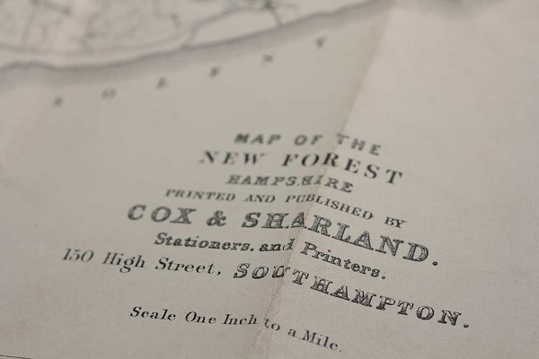 forest-a trip out, konczak. the interactive forest, antiquariam