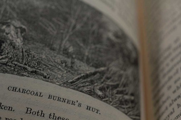 forest-a trip out, konczak. the interactive forest, antiquariam