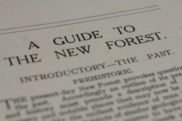 A Guide to the New Forest - Heywood Sumner