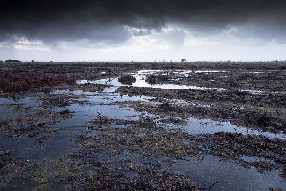 In Search of a Vista - Recce on Ibsley Common