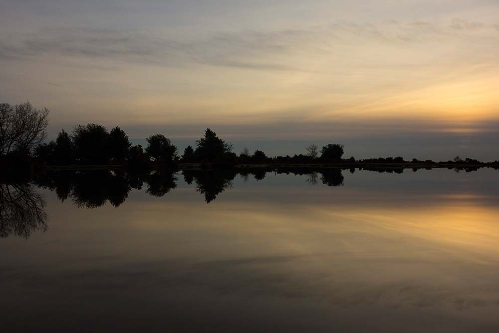 In Search of a Vista - Towards Fox Hill