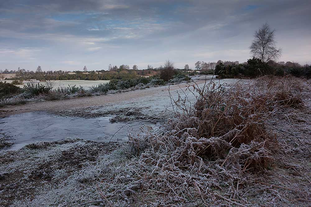In Search of a Vista - Rockford Common