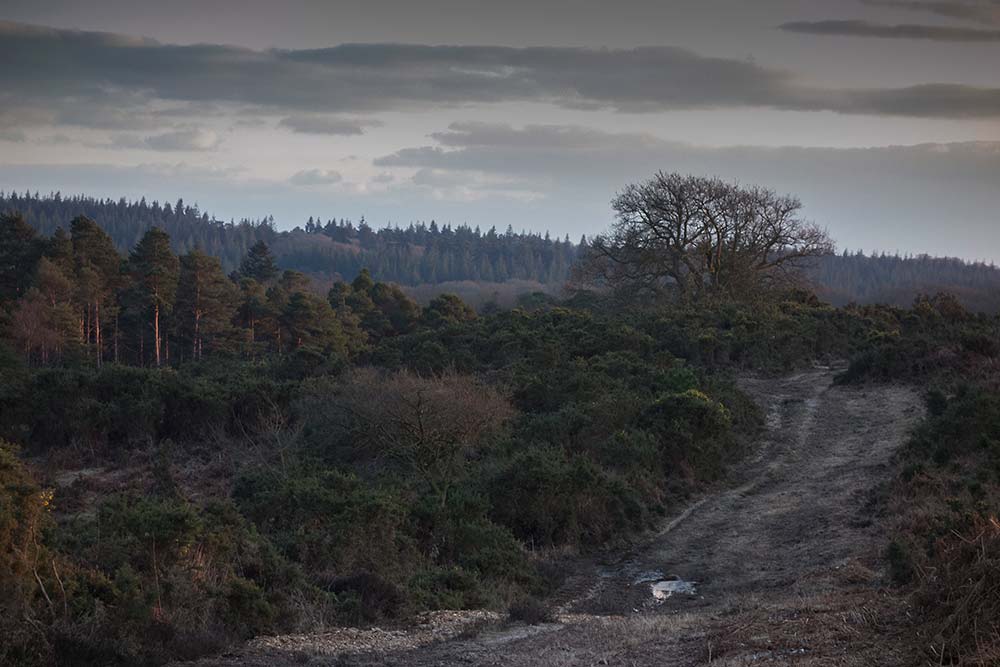 In Search of a Vista - Around Studley Castle