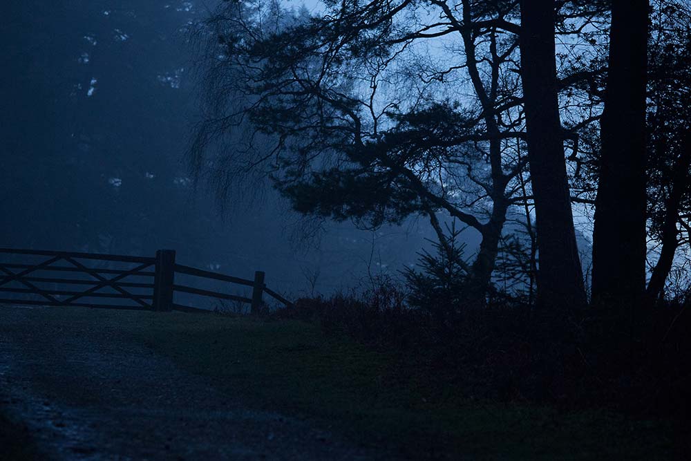 In Search of a Vista - Towards Puckpits Inclosure