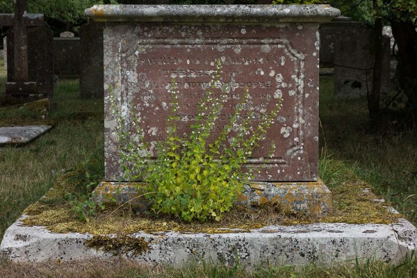 julian, konczak, photography, video, new, forest, a trip out, St John the Baptist Church , Boldre