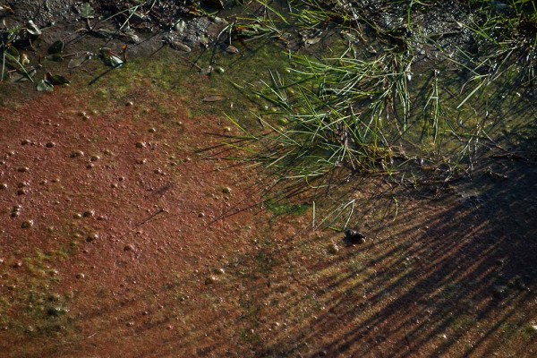 julian, konczak, photography, video, new, forest, a trip out