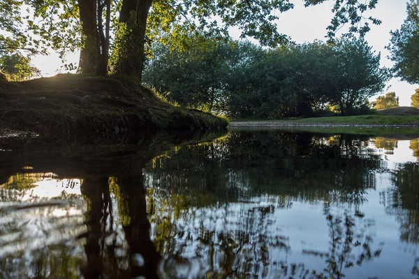 julian, konczak, photography, video, new, forest, a trip out