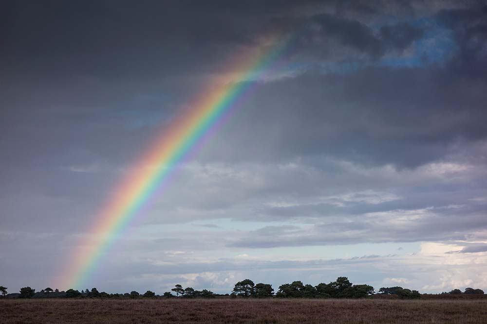 In Search of a Vista – To Backley Plain