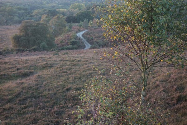 julian, konczak, photography, video, new, forest, a trip out, hightown