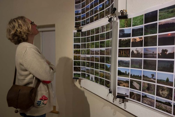 forest a trip out exhibition new forest centre