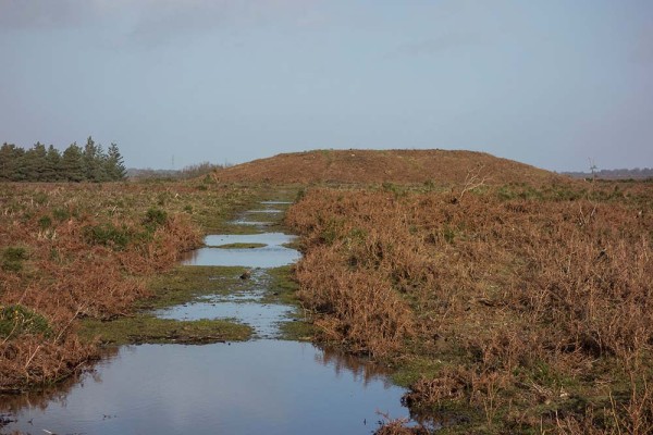 julian, konczak, photography, abbots well, pitts wood inclosure, ashley cross, forest trip out, new forest