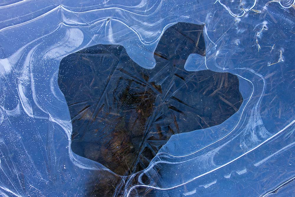 julian, konczak, photography, dockens water, forest trip out, new forest, in search of a vista, winter