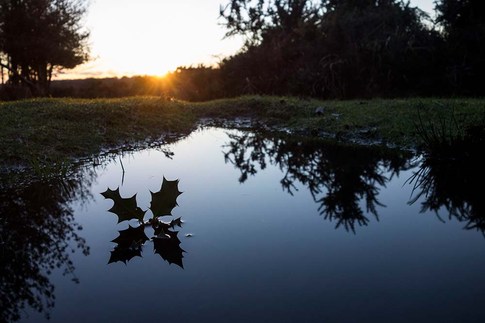 In Search of a Vista – From Bratley View