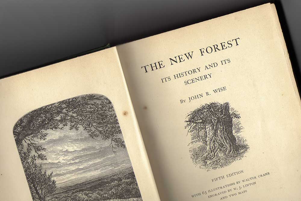 The New Forest - J R Wise